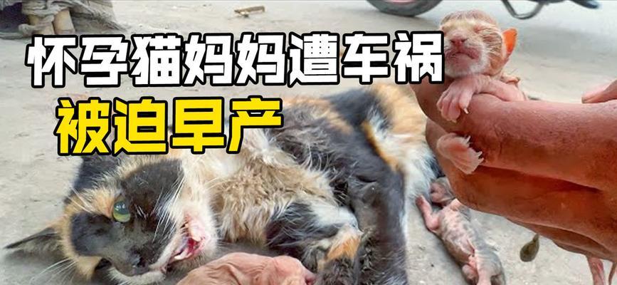 文章详情图片