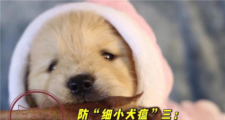 文章详情图片