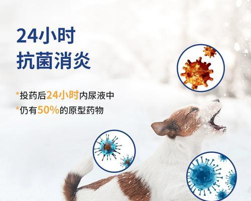 文章详情图片