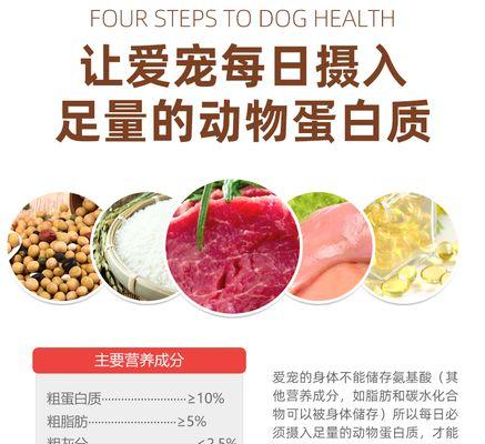 幼犬毛发保健的重要性（给你的幼犬提供绚丽光彩的外貌）