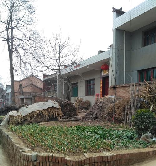 文章详情图片