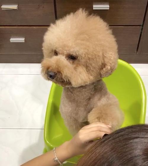 文章详情图片