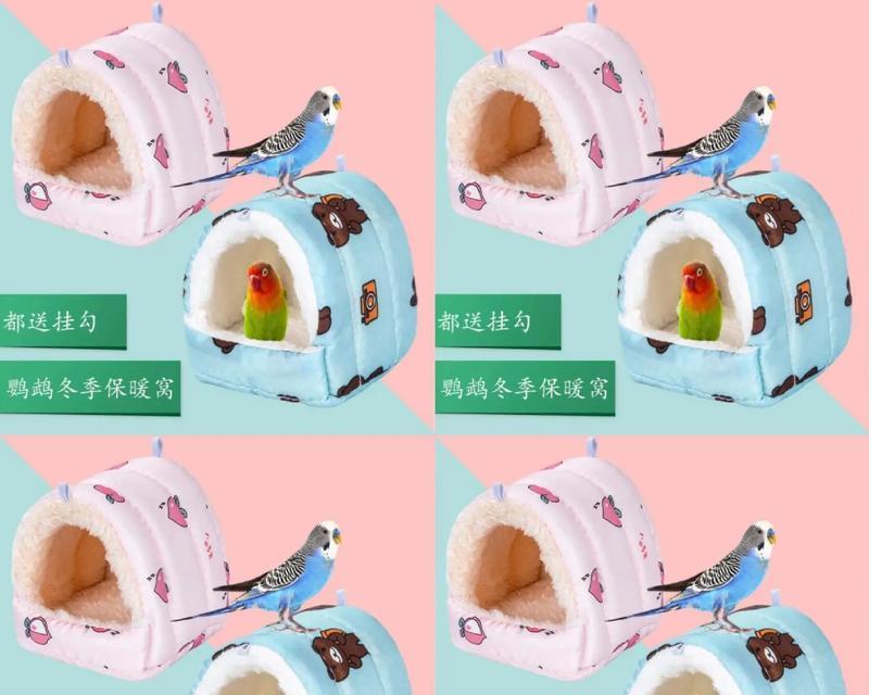 文章详情图片