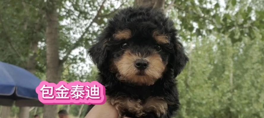 文章详情图片