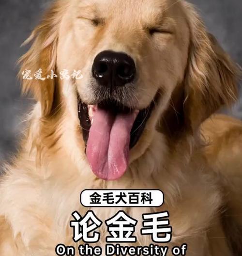 文章详情图片