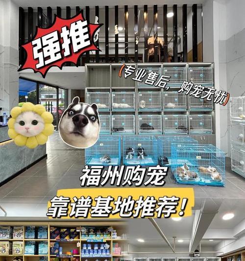 文章详情图片