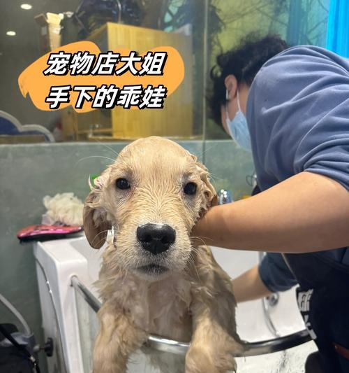 文章详情图片