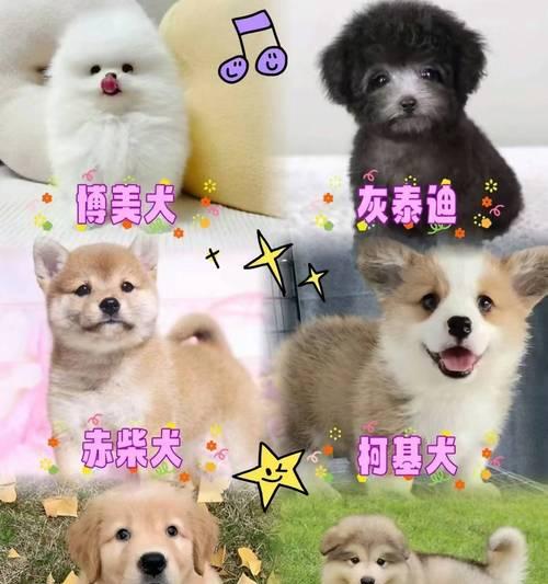文章详情图片
