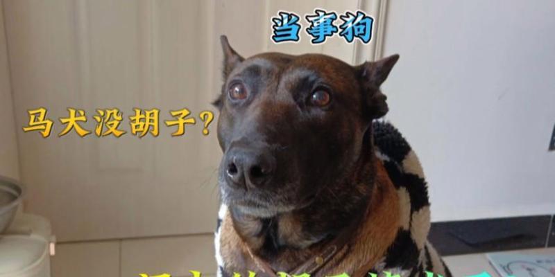文章详情图片