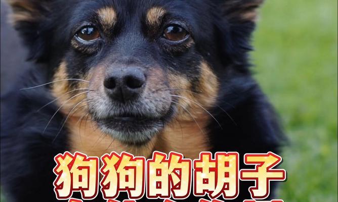 文章详情图片
