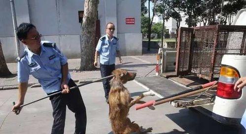 文章详情图片