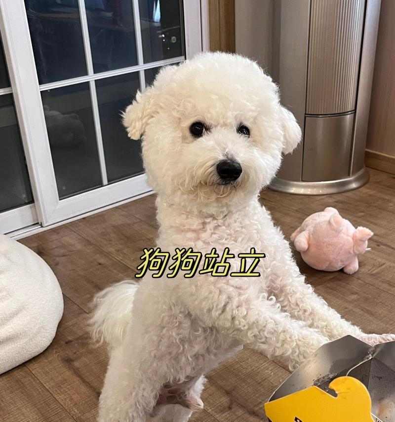文章详情图片