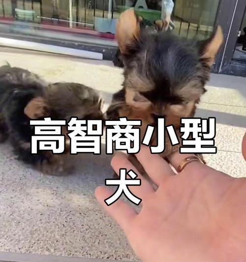 文章详情图片