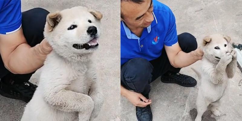 文章详情图片