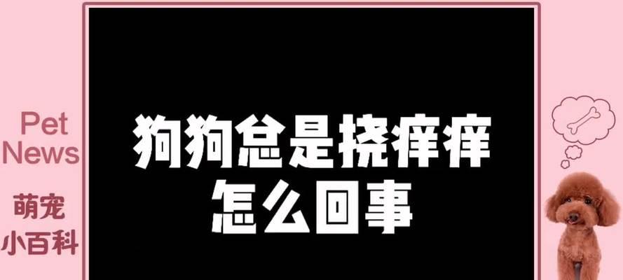 文章详情图片