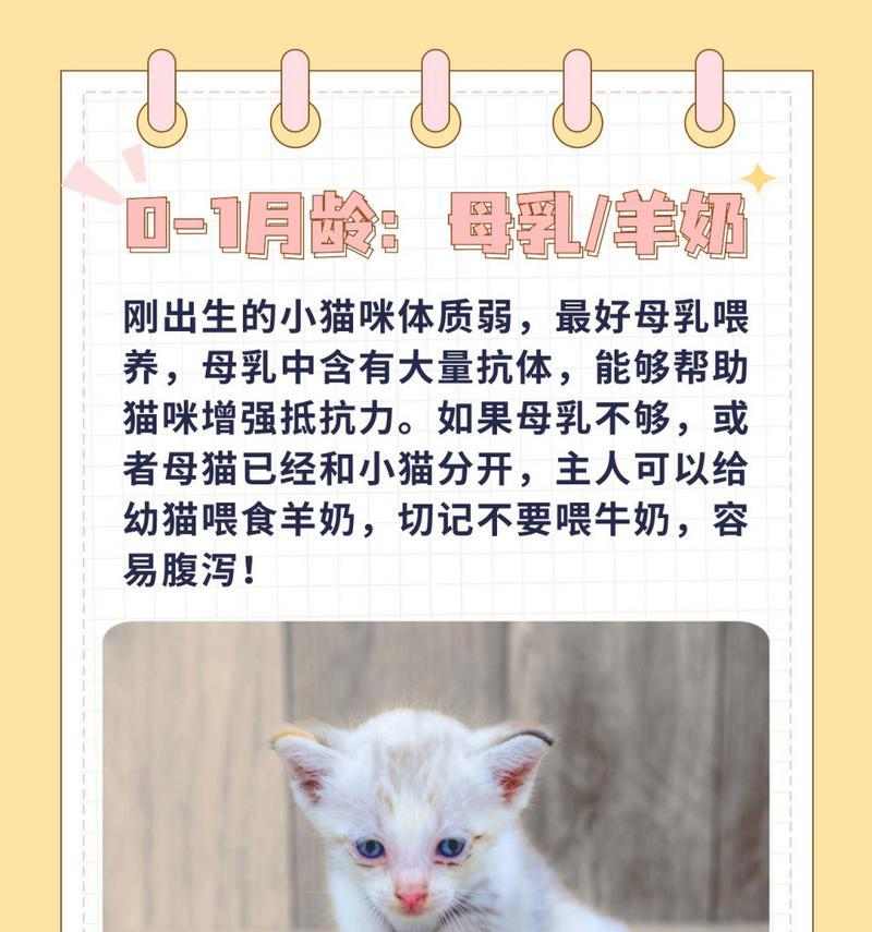 文章详情图片