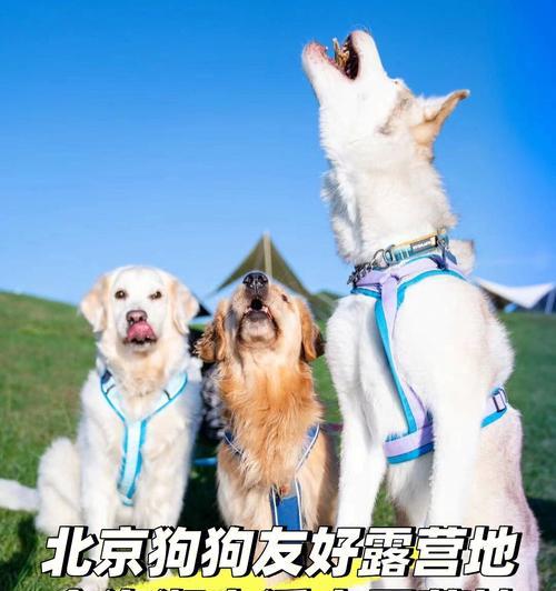 文章详情图片