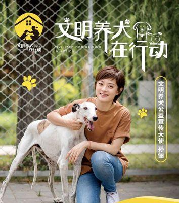 北京每年的狗咬人防控行动