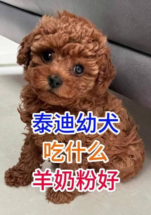 文章详情图片