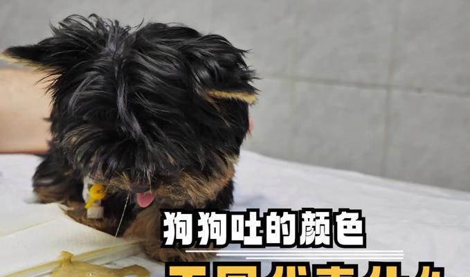 文章详情图片
