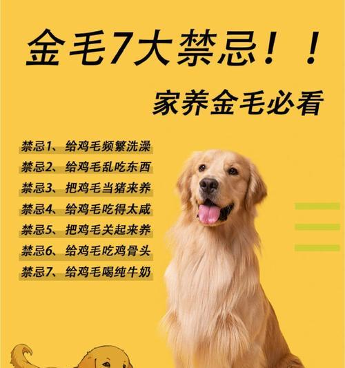 文章详情图片
