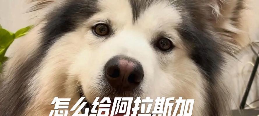 文章详情图片