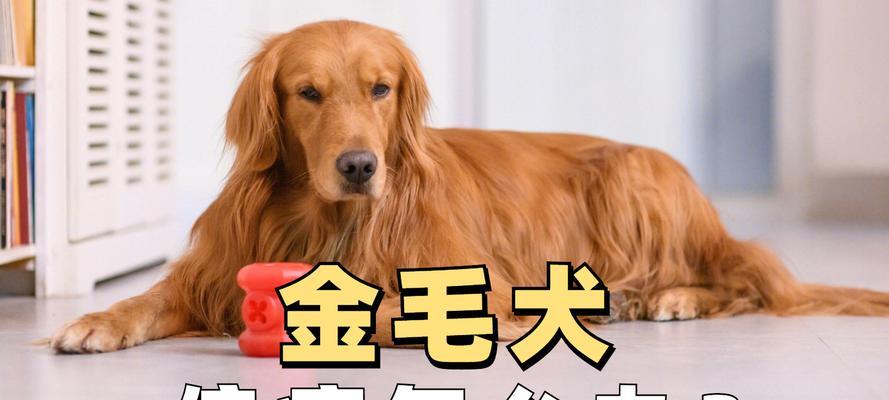 文章详情图片