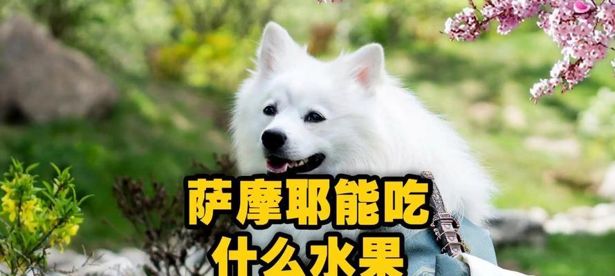文章详情图片