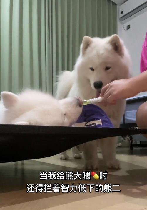 文章详情图片