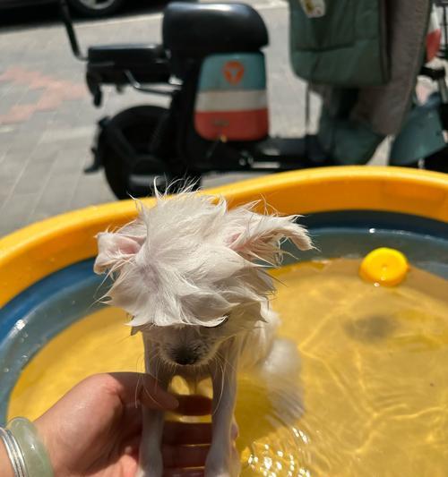 文章详情图片