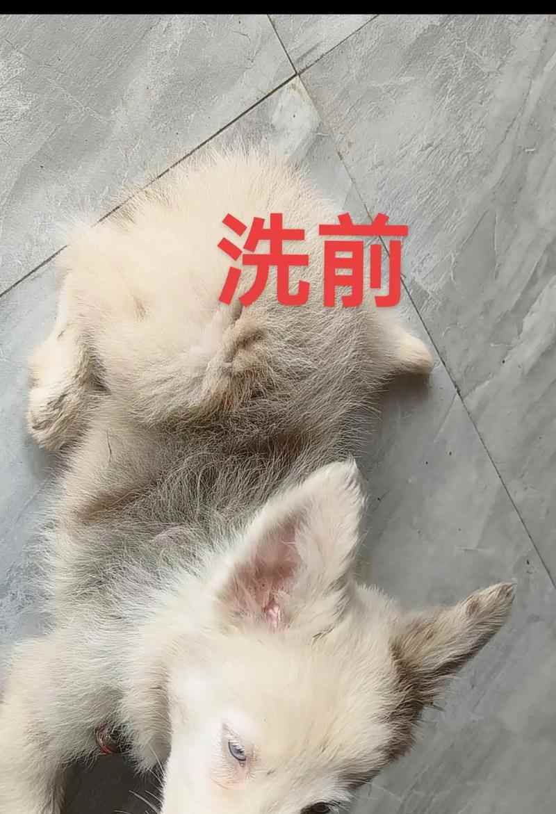 文章详情图片