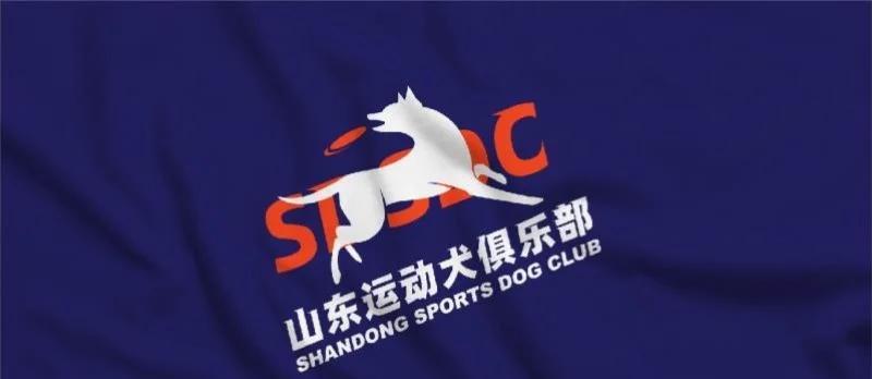 文章详情图片
