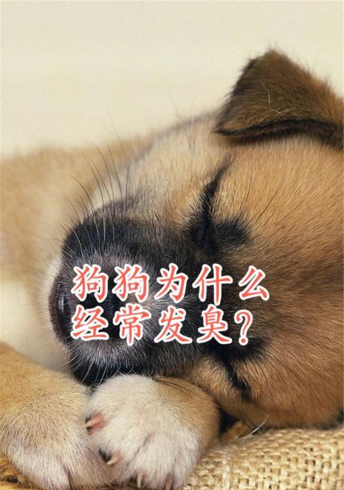 文章详情图片
