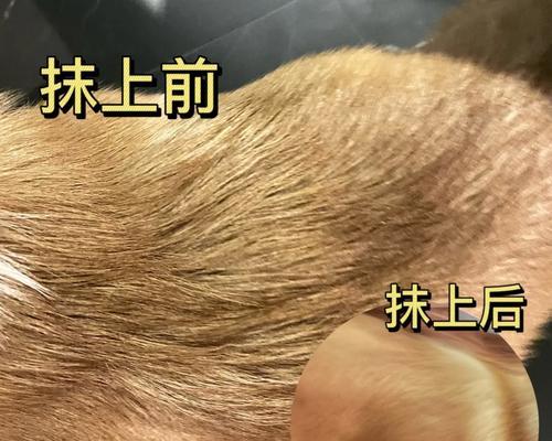 文章详情图片