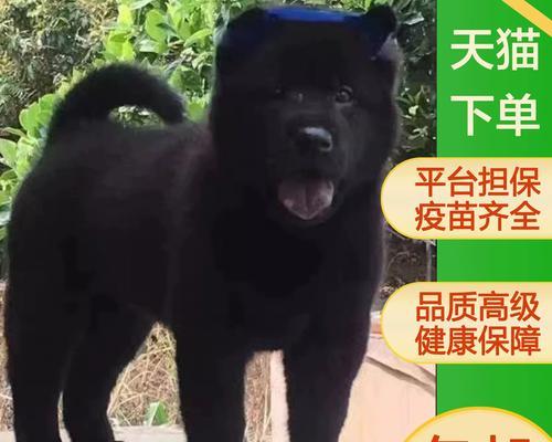文章详情图片