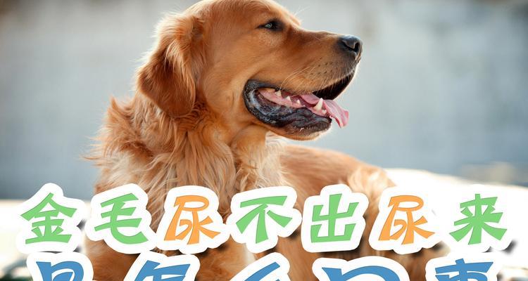 文章详情图片