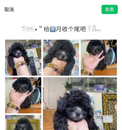 文章详情图片