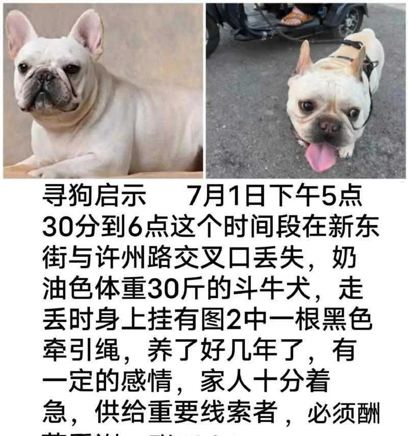 文章详情图片