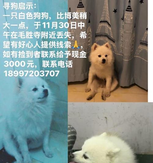 文章详情图片