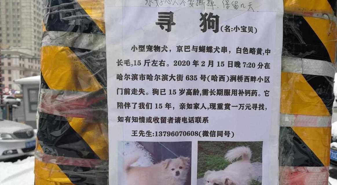 文章详情图片