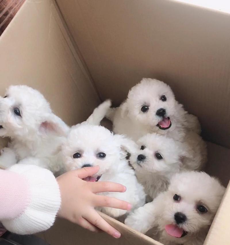 文章详情图片