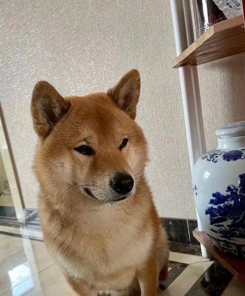 文章详情图片