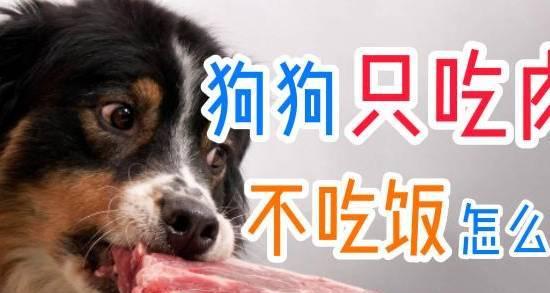 文章详情图片