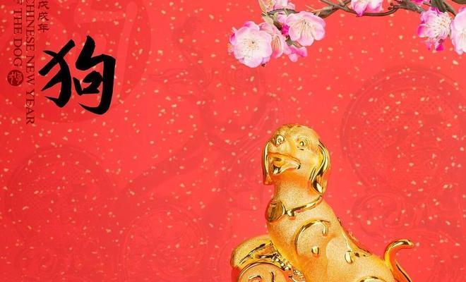 文章详情图片