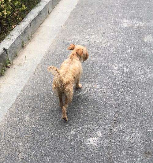 文章详情图片