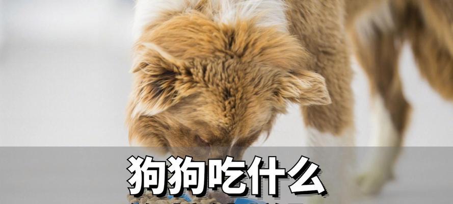 文章详情图片