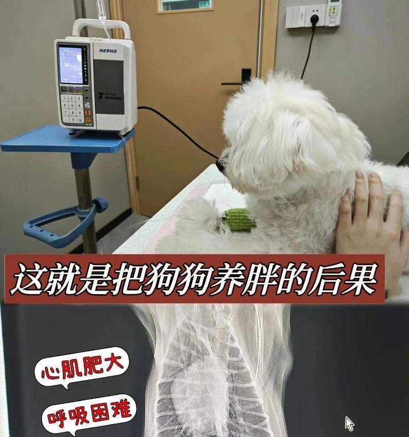文章详情图片