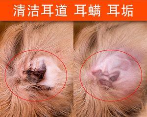 文章详情图片