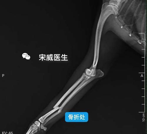文章详情图片