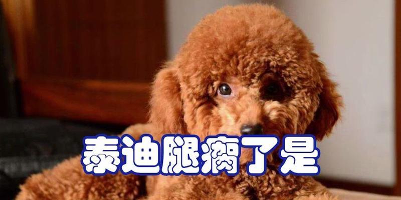 文章详情图片